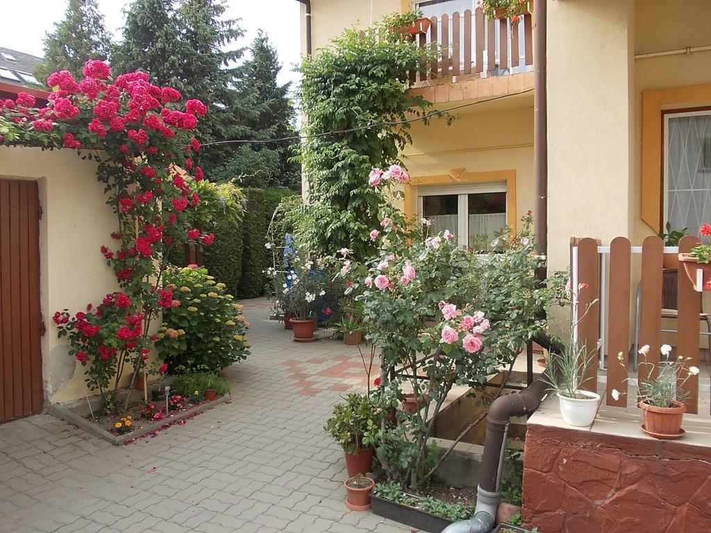 Judit Vendeghaz Heviz Room photo