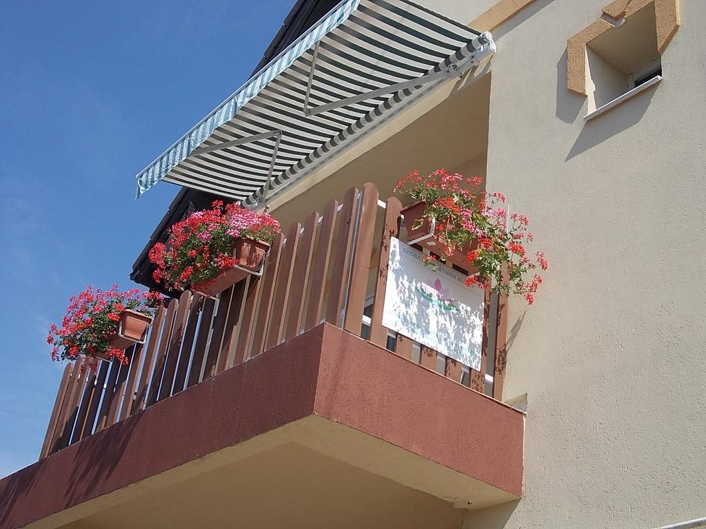 Judit Vendeghaz Heviz Exterior photo