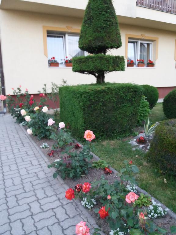 Judit Vendeghaz Heviz Exterior photo